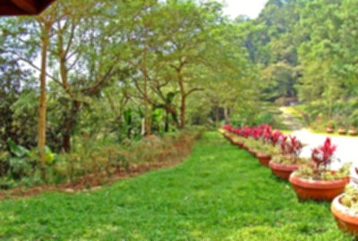 大竹湖步道