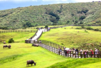 陽明山國家公園