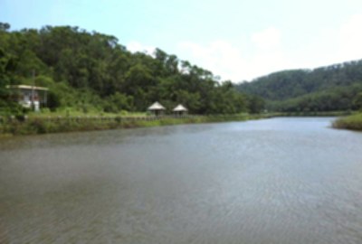 金龍湖